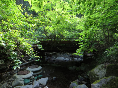 b0121015_22445265.jpg