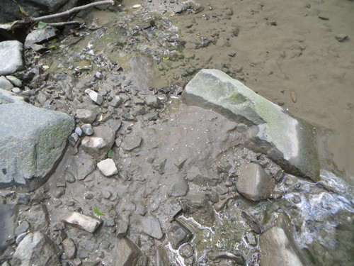 b0121015_22512877.jpg
