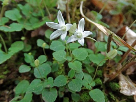 c0042418_8434934.jpg