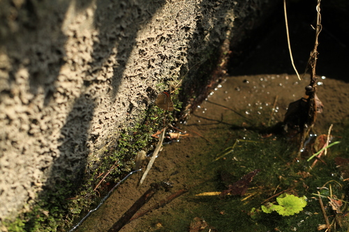b0146723_23315445.jpg