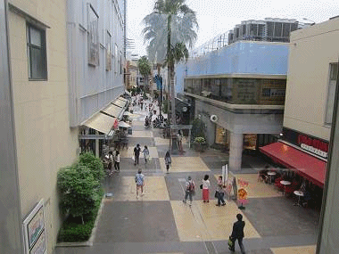 d0065324_22233797.gif
