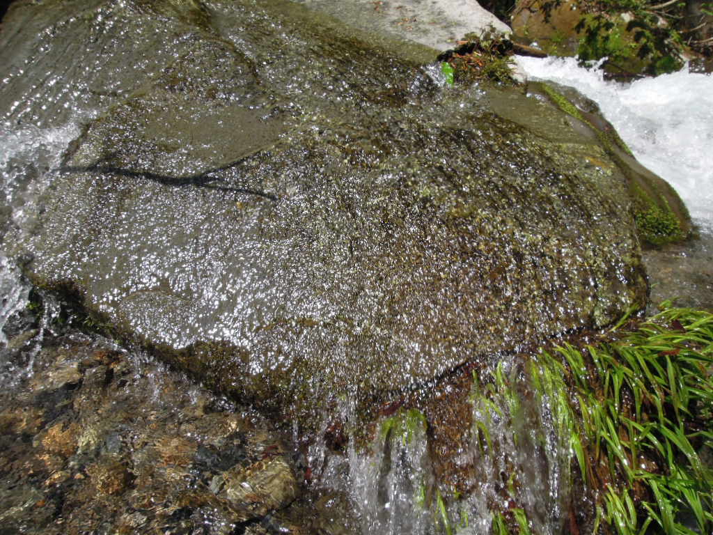 e0147226_22583383.jpg