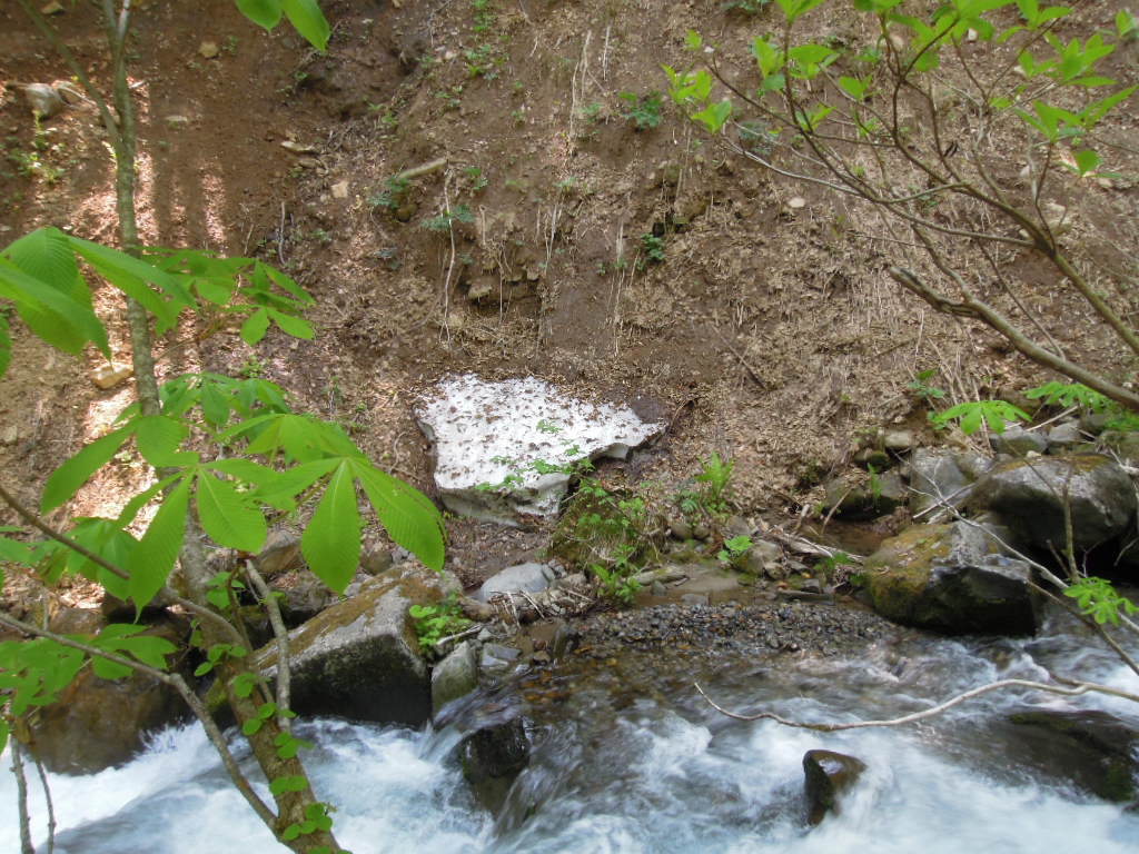 e0147226_22592928.jpg