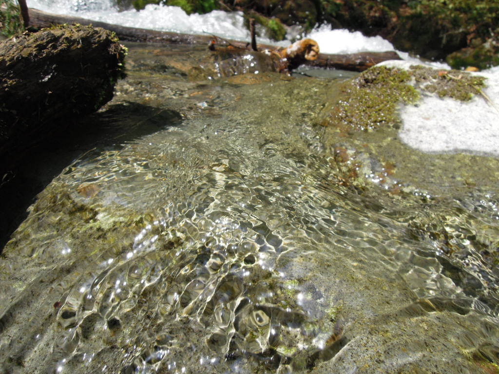 e0147226_2333197.jpg