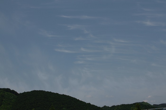 c0090530_16251459.jpg
