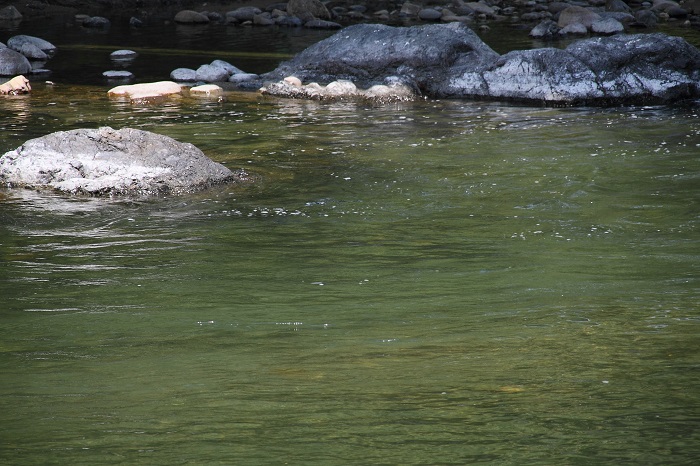 c0090530_16273335.jpg