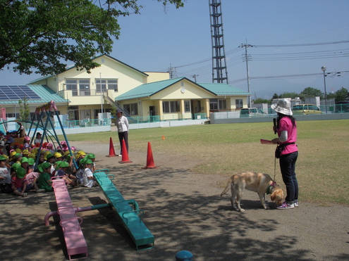 c0114833_43723.jpg