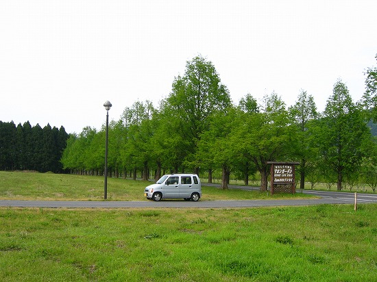 d0001533_234415.jpg