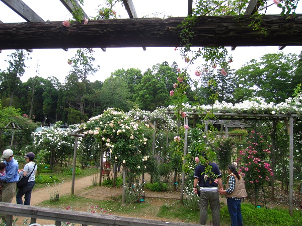 f0002833_18344434.jpg