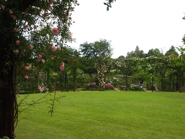 f0002833_1835567.jpg