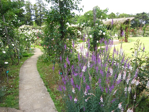 f0002833_1836879.jpg