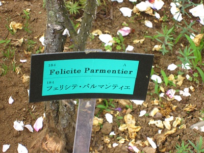 f0002833_18371392.jpg