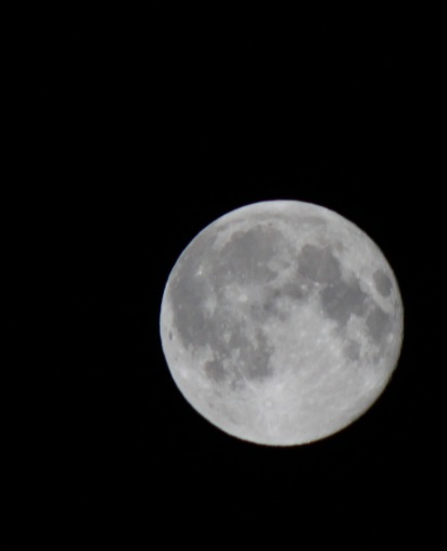 b0184636_85749.jpg