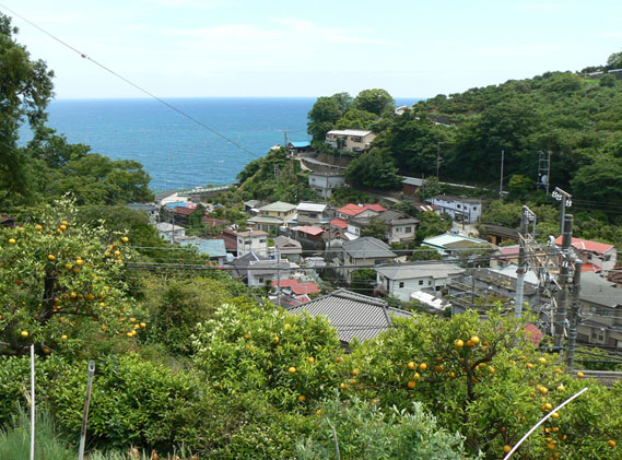 f0147037_12382155.jpg