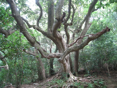 c0077338_11445950.jpg