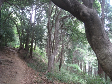 c0077338_114507.jpg