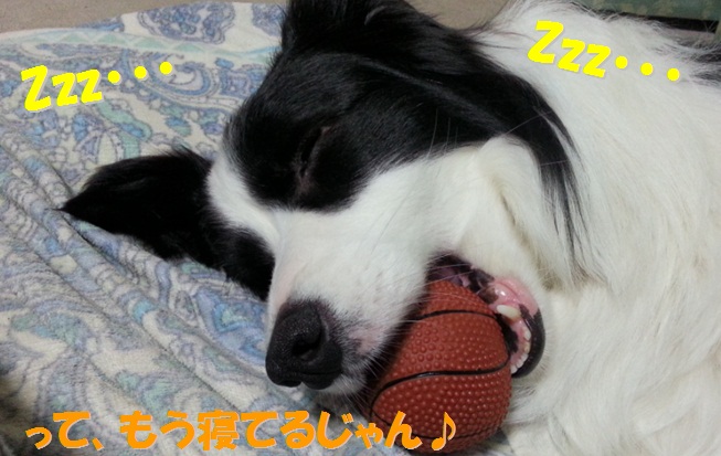 c0147241_7341959.jpg