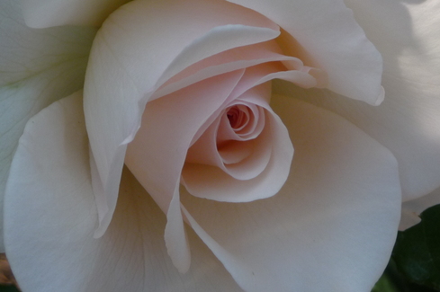 e0002850_21153043.jpg