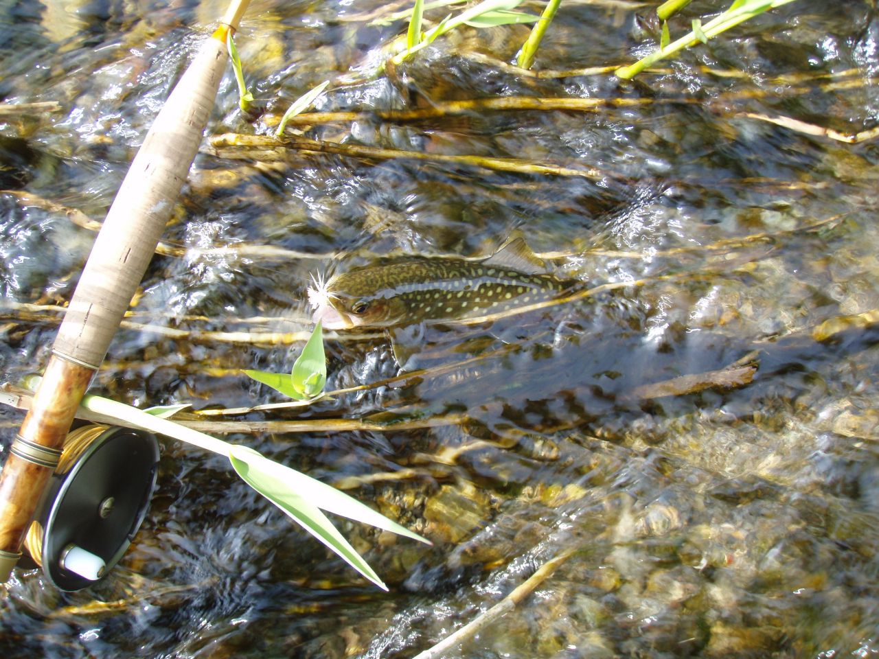 d0283357_21285390.jpg