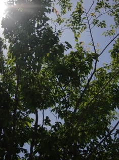 b0246758_14332969.jpg