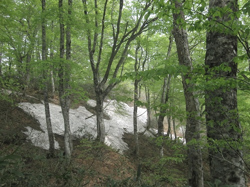c0294658_227270.jpg