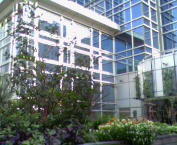 b0105259_2315992.jpg