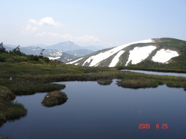 c0119160_16364956.jpg
