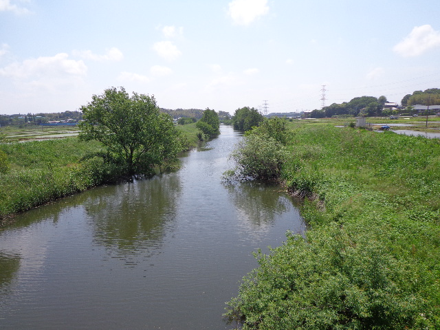 b0061261_22123266.jpg