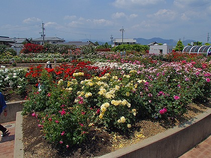 a0104162_2219316.jpg