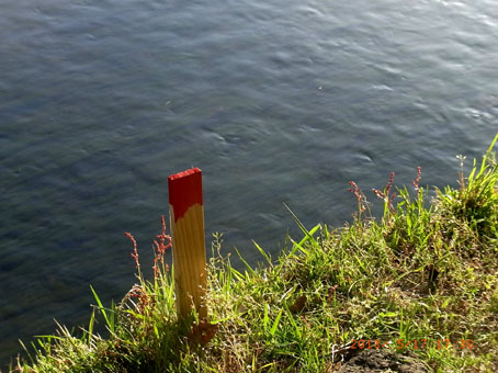 b0075364_037278.jpg