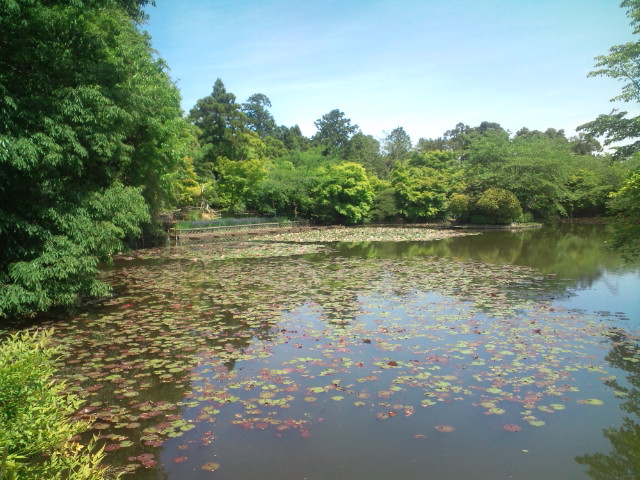 e0187064_0385543.jpg
