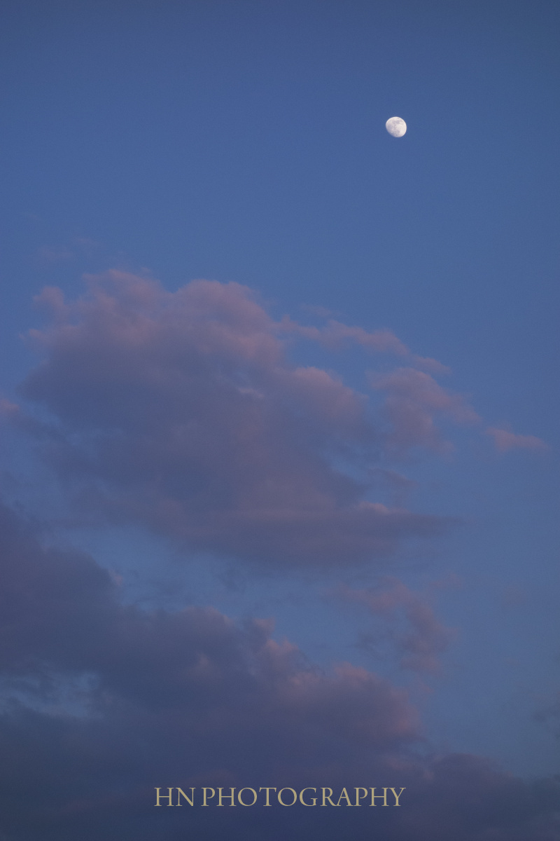 a0191069_114385.jpg