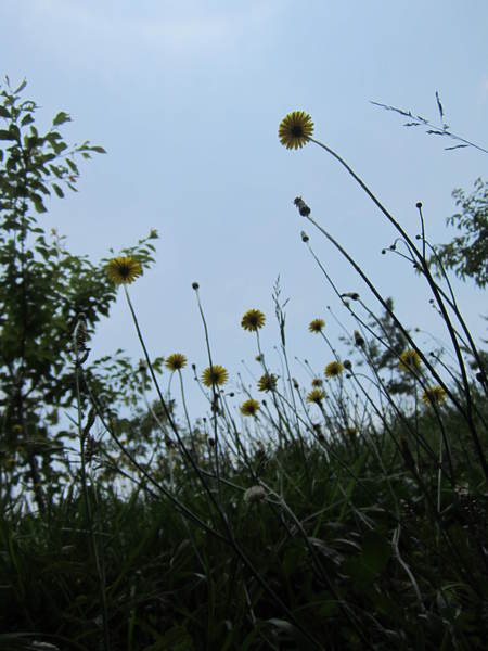 d0264176_209322.jpg