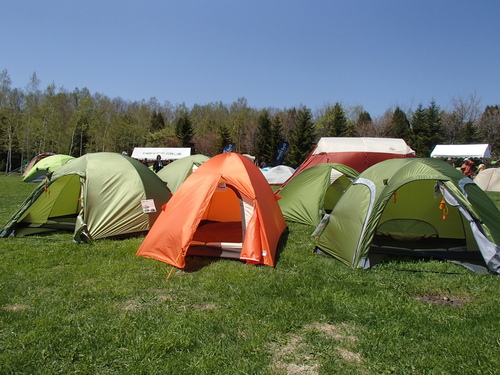 f0130376_1754063.jpg