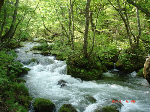 d0165378_11304125.jpg