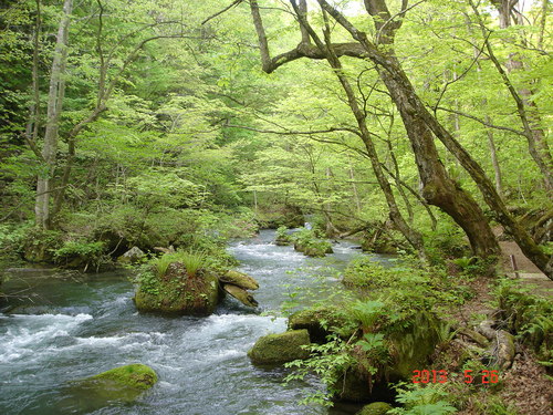 d0165378_1131021.jpg