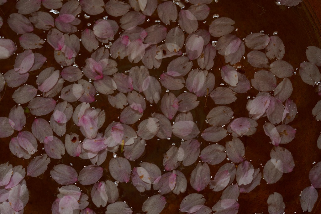 c0240388_155419100.jpg