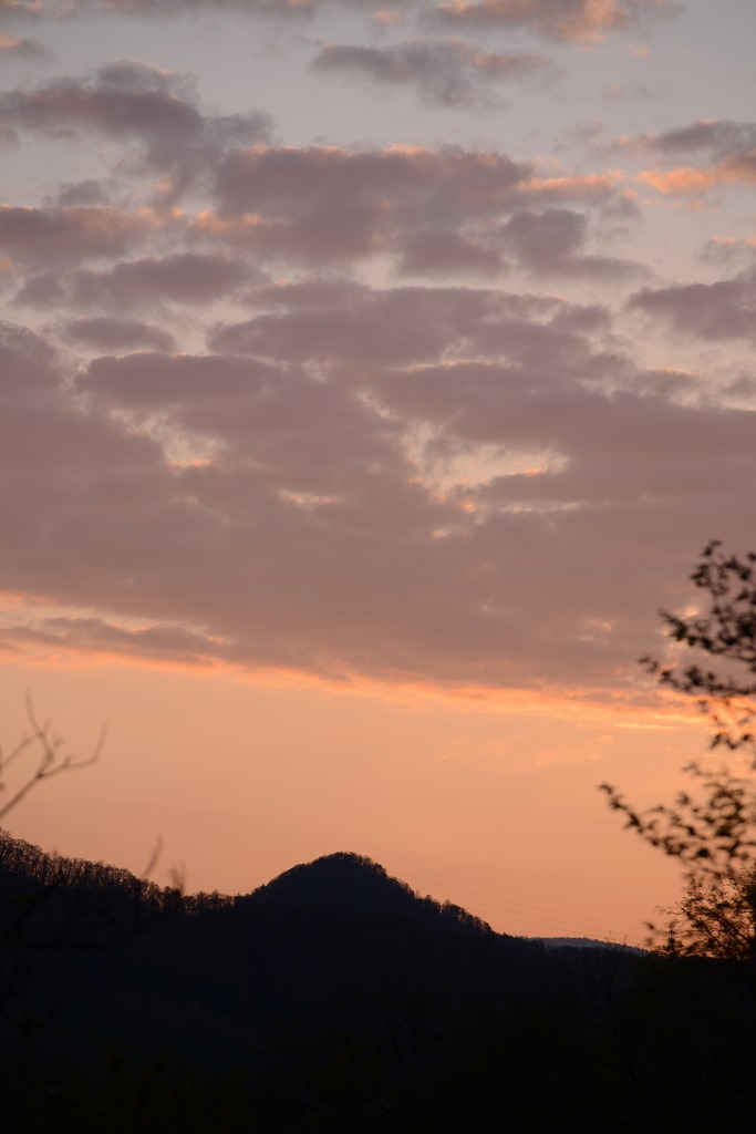 c0240388_1554441.jpg