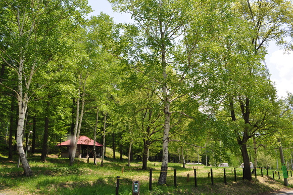 d0226492_20164490.jpg