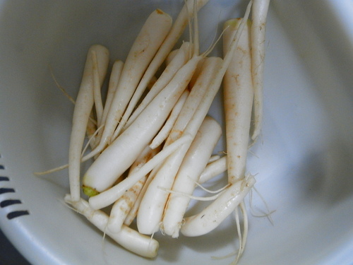 f0181793_13244751.jpg