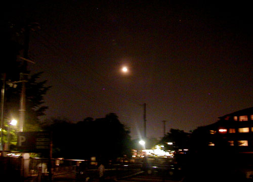 d0053294_128998.jpg
