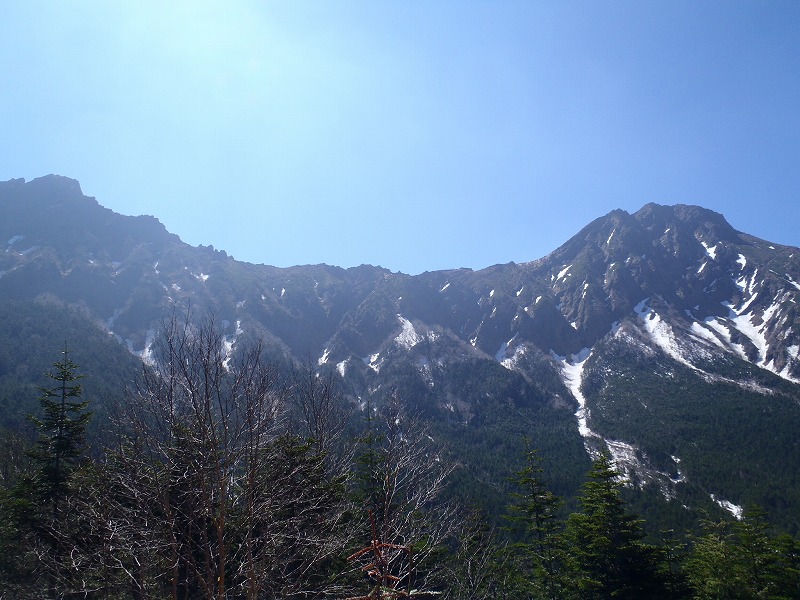 c0147398_2361758.jpg