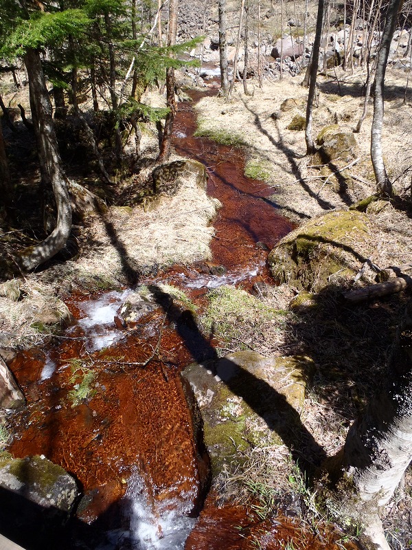 c0147398_238280.jpg
