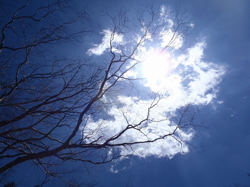 c0147398_2384911.jpg
