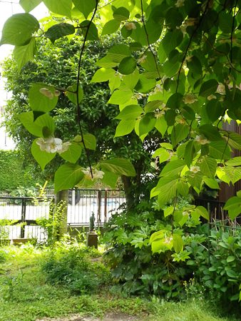 f0239100_0155772.jpg