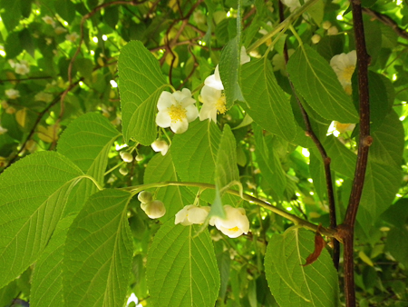 f0239100_0414889.jpg