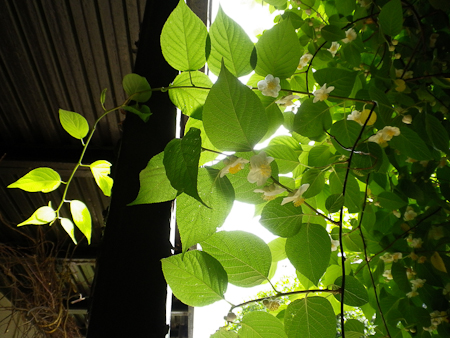 f0239100_0415243.jpg