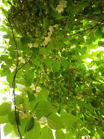 f0239100_0442365.jpg