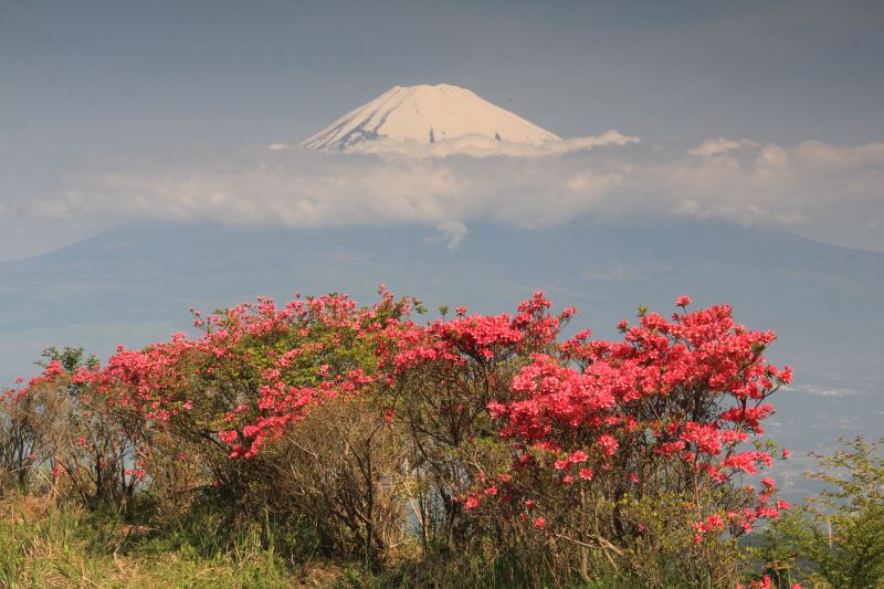 a0188405_22105733.jpg