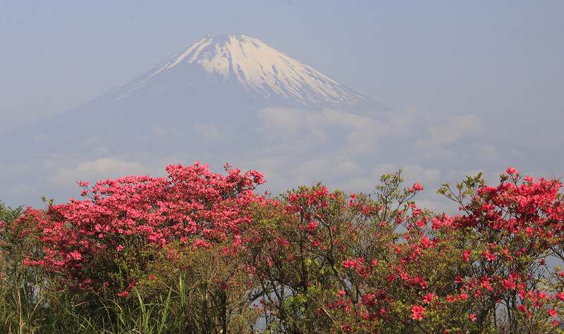 a0188405_2242962.jpg